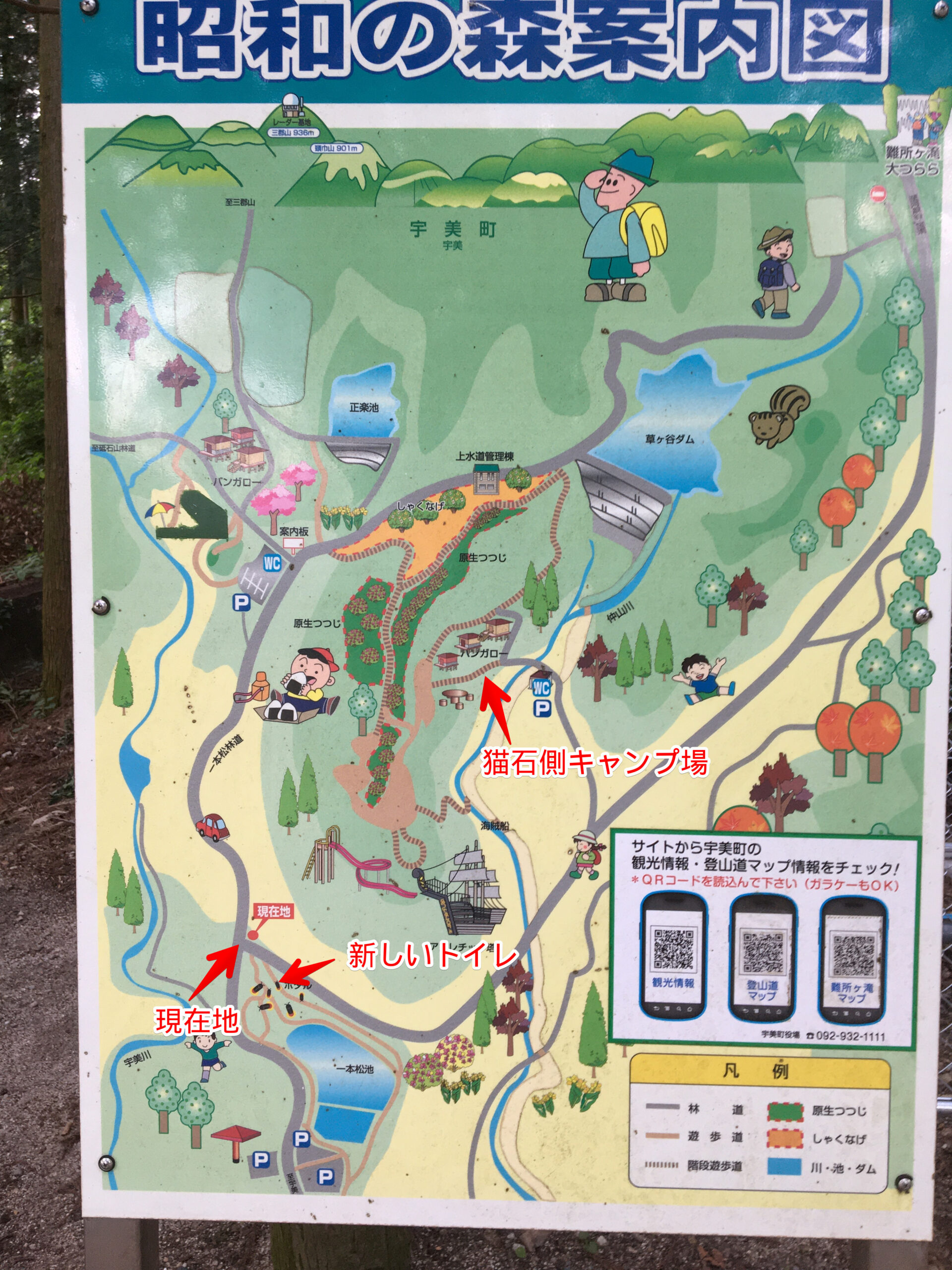 ついに無料じゃなくなった 昭和の森 一本松キャンプ場を写真付きで徹底紹介 21年9月30日追記 イマシ魂