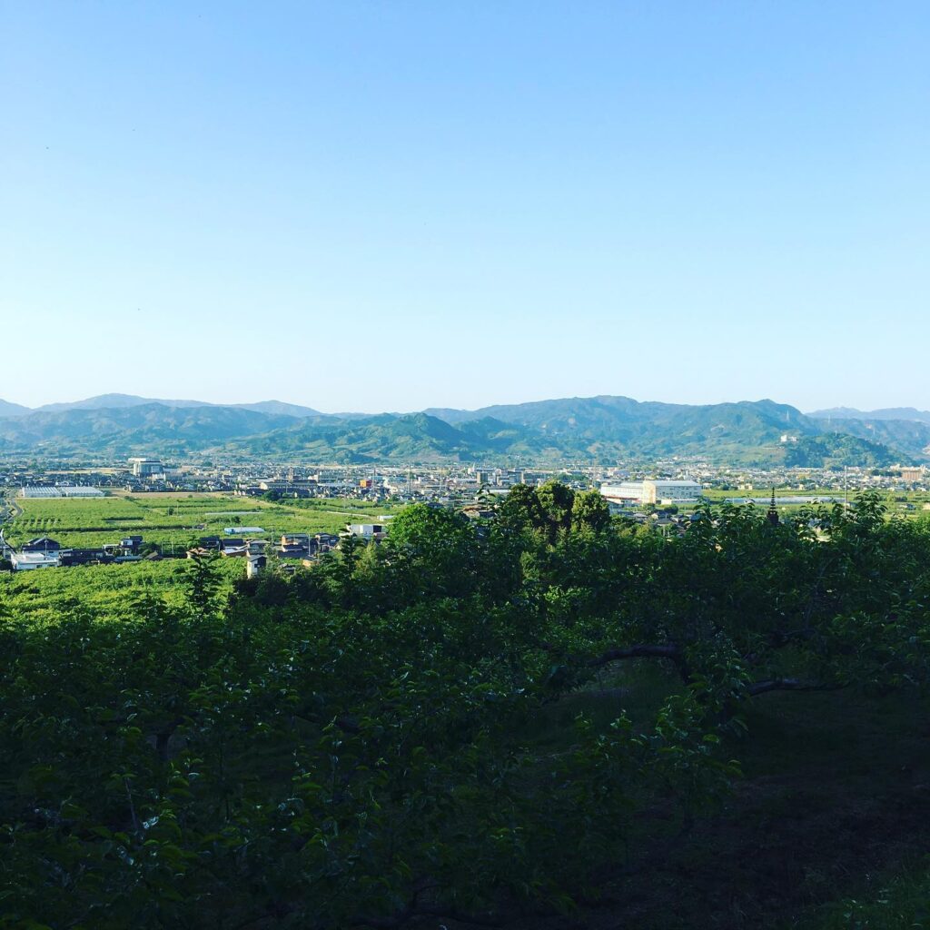 風景